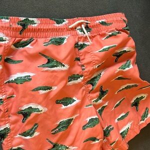 Old navy swim trunks